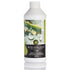 Aloe Vera Juice Pack | Box of 6